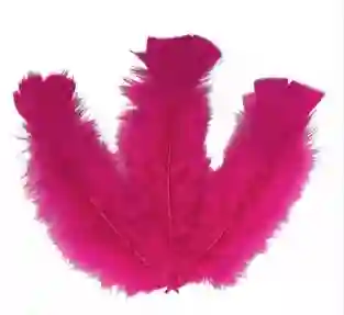 Paquete De Plumas Fucsia X12