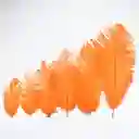 Paquete De Plumas Naranja X12