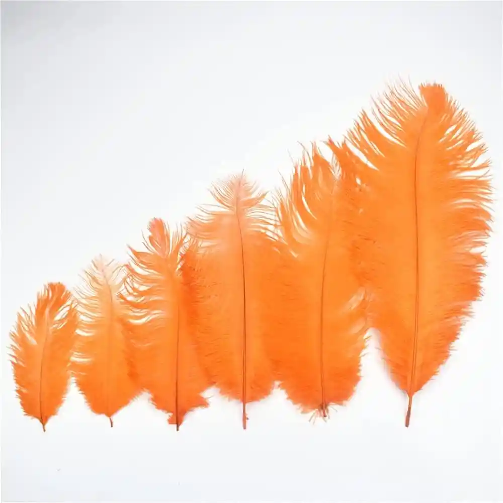 Paquete De Plumas Naranja X12