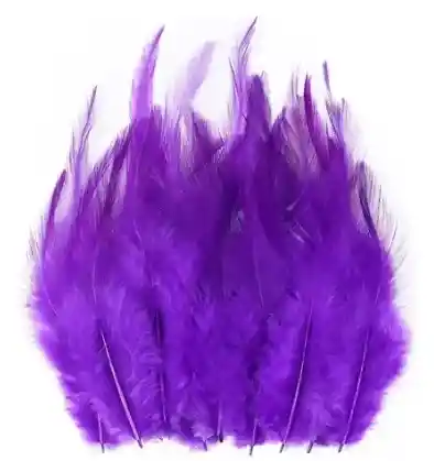 Paquete De Plumas Moradas X12