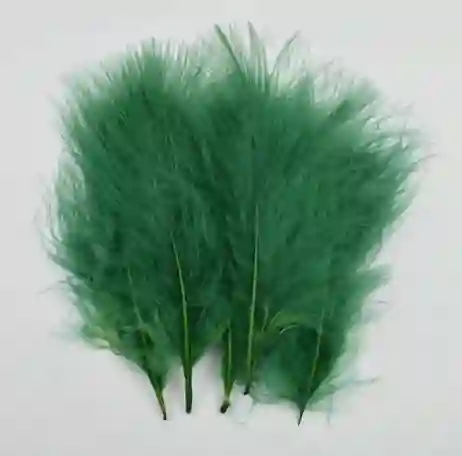 Paquete De Plumas Verde Oscuro X12