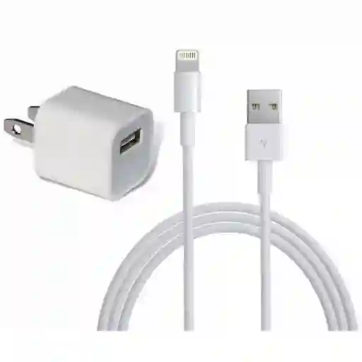 Cargador Completo Iphone 5w Genérico