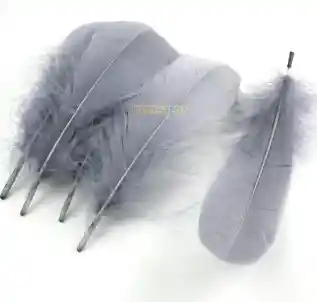 Paquete De Plumas Gris X12