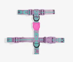 Zee Dog Small H Harness Aura