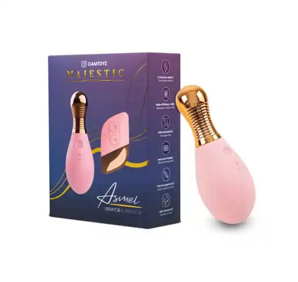 Vibrador Asmel Camtoyz