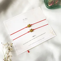 Pulseras Tortuga Dije Dorado