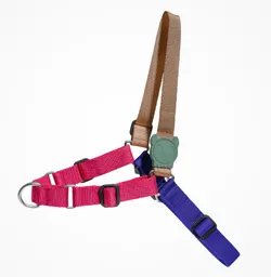 Zee Dog Yucca Soft-walk Harness Small