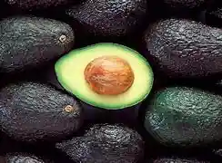 Aguacate Hass