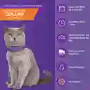 Calming Collar Gato - Violeta Relajante 60 Dias