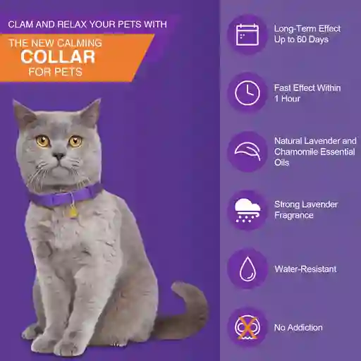 Calming Collar Gato - Violeta Relajante 60 Dias