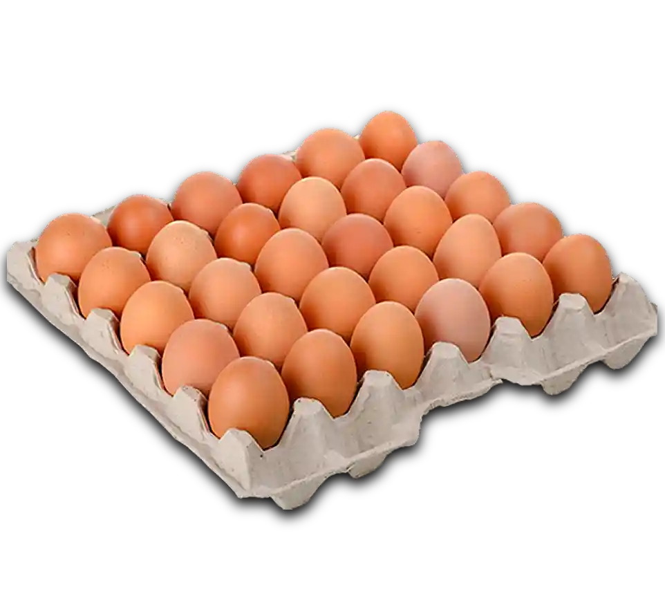 Huevos Extra X30