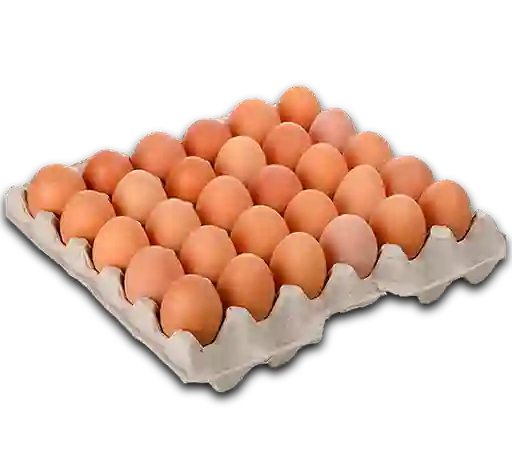 Huevos A X30