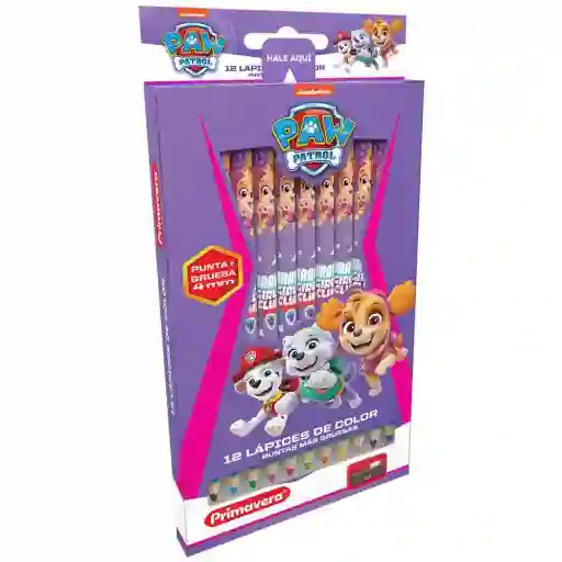 Colores Primavera De Paw Patrol X12