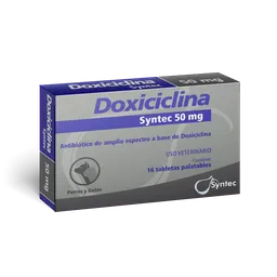 Doxiciclina 50 Mg 16 Comprimidos Antibiotico Para Perros Y Gatos Doxiciclina Para Mascotas 50 Mg