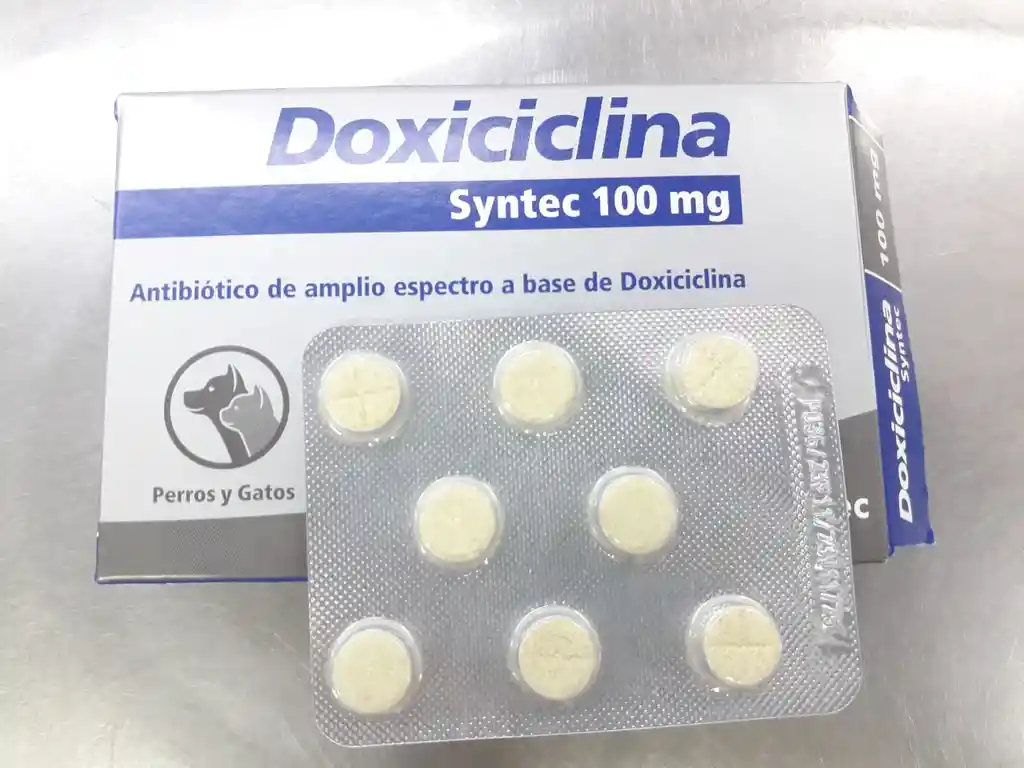 Antibiotico Doxiciclina 100 Mg 16 Tabletas Antibiotico Para Mascotas Doxiciclina 100 Mg