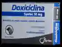 Antibiotico Doxiciclina Para Mascotas Doxiciclina 50 Mg Para Gatos Y Perros