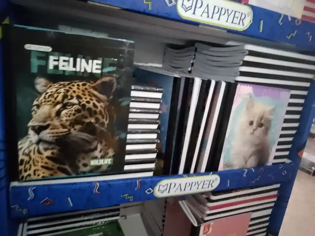 6 Cuaderno 100 Hojas Con Stickers Cuadros