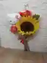 Girasol Natural Mas Peluche
