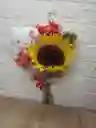 Girasol Natural Mas Peluche