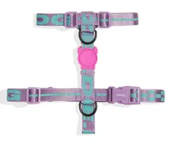 Zee Dog Medium H Harness Aura