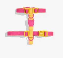 Zee Dog Neopro Lyra H-harness Large