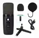 Kit De Microfono Profesional Con Condensador Bm-501