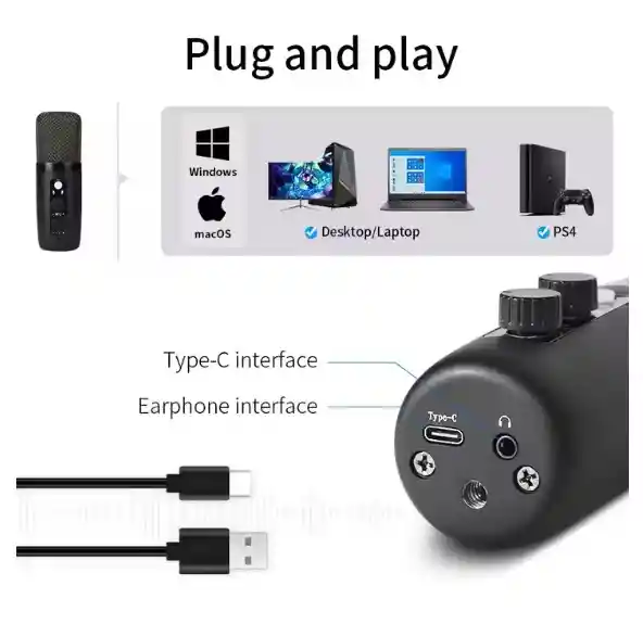 Kit De Microfono Profesional Con Condensador Bm-501