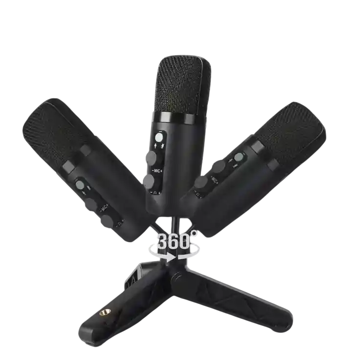 Kit De Microfono Profesional Con Condensador Bm-501