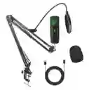 Kit De Microfono Profesional Con Condensador Bm-501