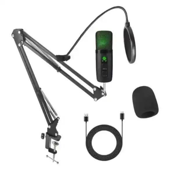 Kit De Microfono Profesional Con Condensador Bm-501