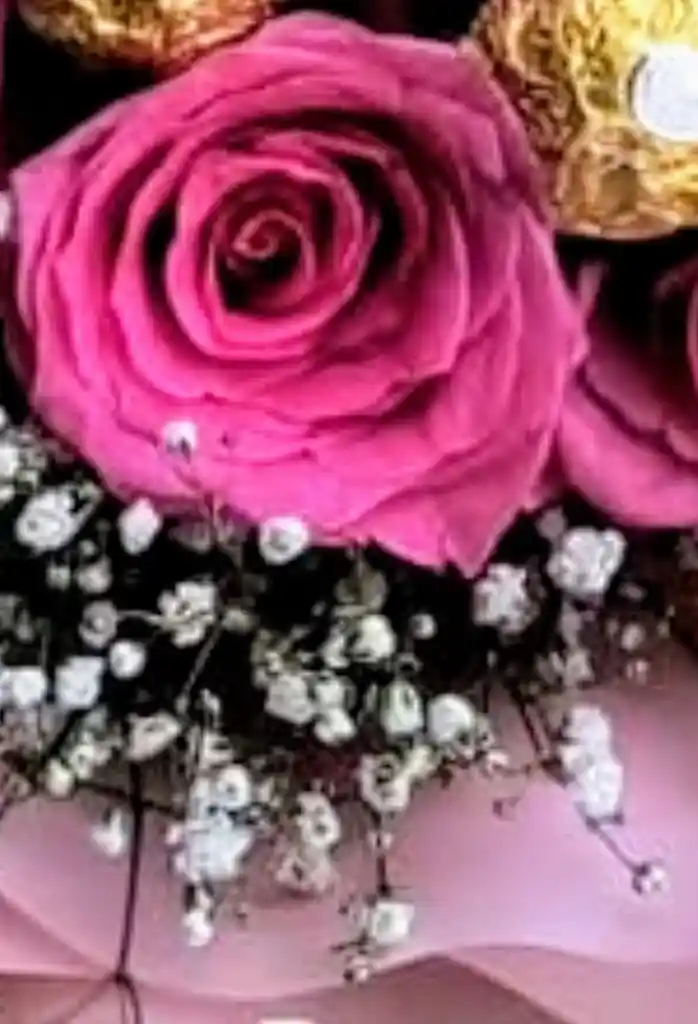 Rosas Ferrero