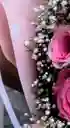 Rosas Ferrero