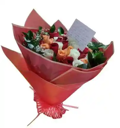Tricolor De Rosas