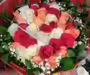 Tricolor De Rosas