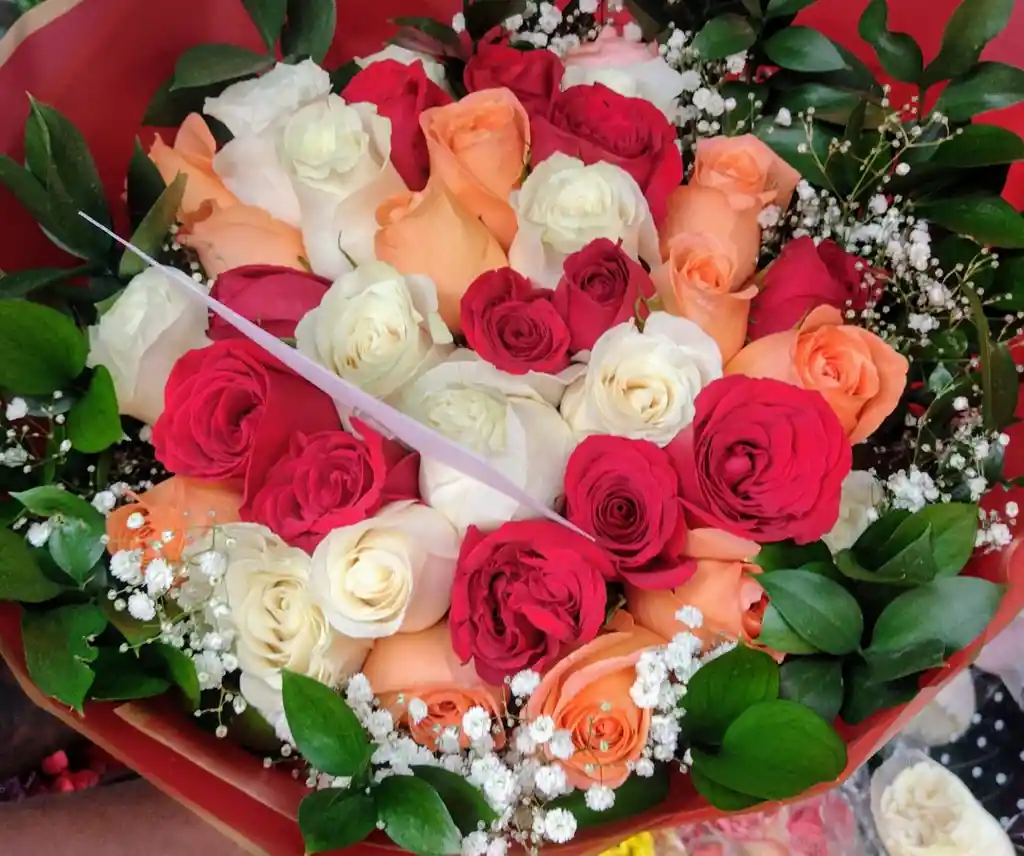 Tricolor De Rosas