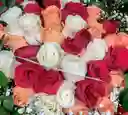 Tricolor De Rosas