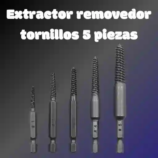 Extractor Removedor De Tornillos De 5 Piezas