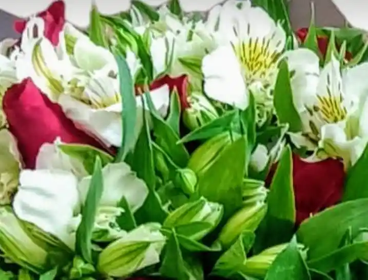 Ramo De Astromelias Y Rosas Rojas