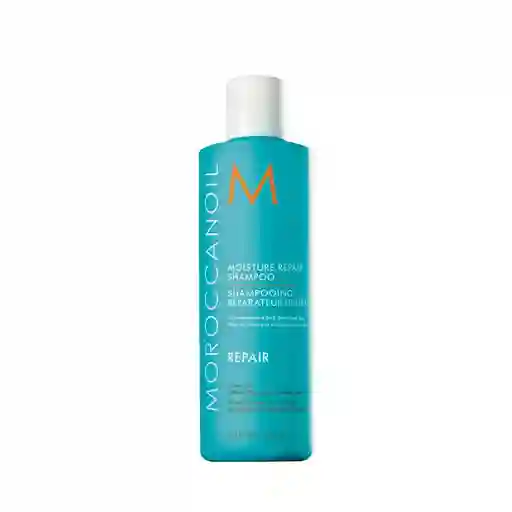 Shampoo Reparador Hidratante Moroccanoil 250ml