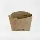Portapapas Germinable