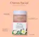 Crema Antioxidante-camellias