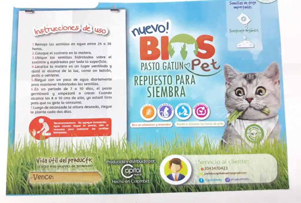 Pasto Gatuno Pasto Para Gato Repuesto De Siembra Abono Y Semillas