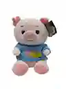 Peluche Muñeco Juguete Cerdito Con Saco