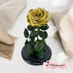 Rosas Preservadas Elegancia Eterna