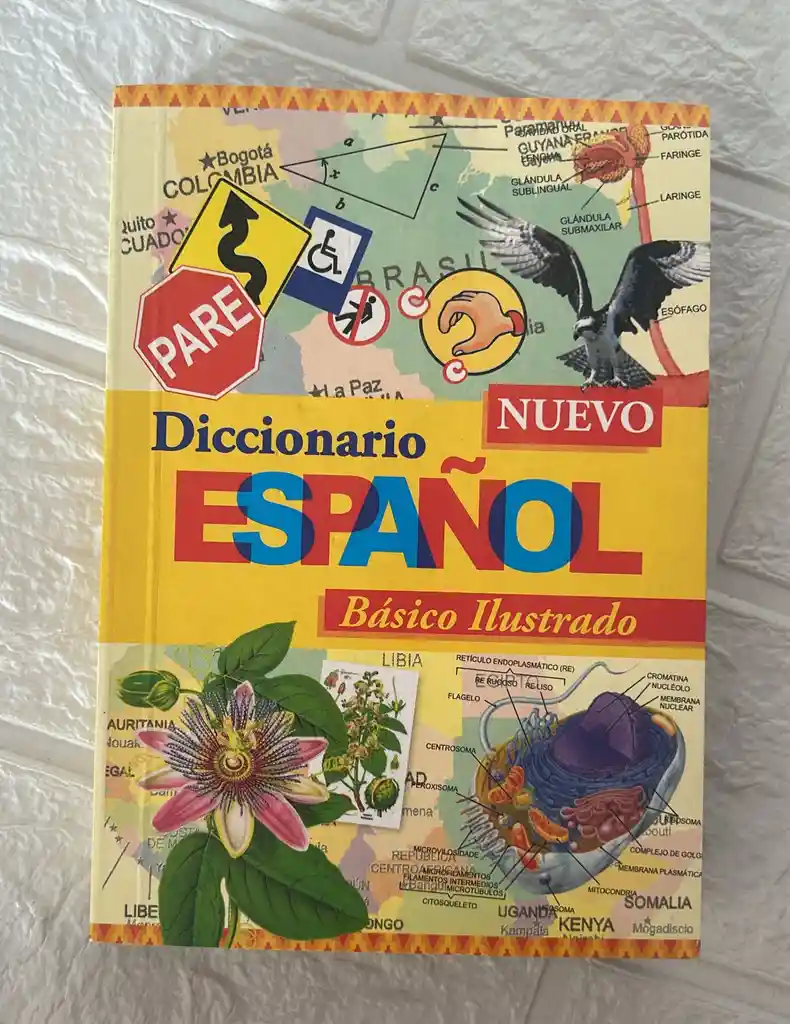 Diccionario Español Economico Basico Ilustrado