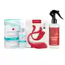 Kit Interactivo Phoenix Love