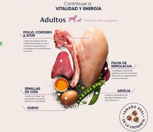 Vivance Vitality Adulto X 10 Kg