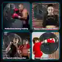 Entrenador De Boxeo Inteligente Bluetooth 49cm Grande 9 Modo