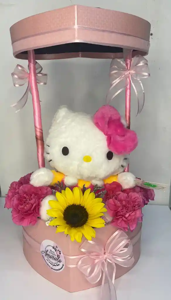 Caja De Hello Kitty