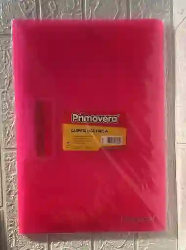 Carpeta Plastica Resorte Oficio Fucsia